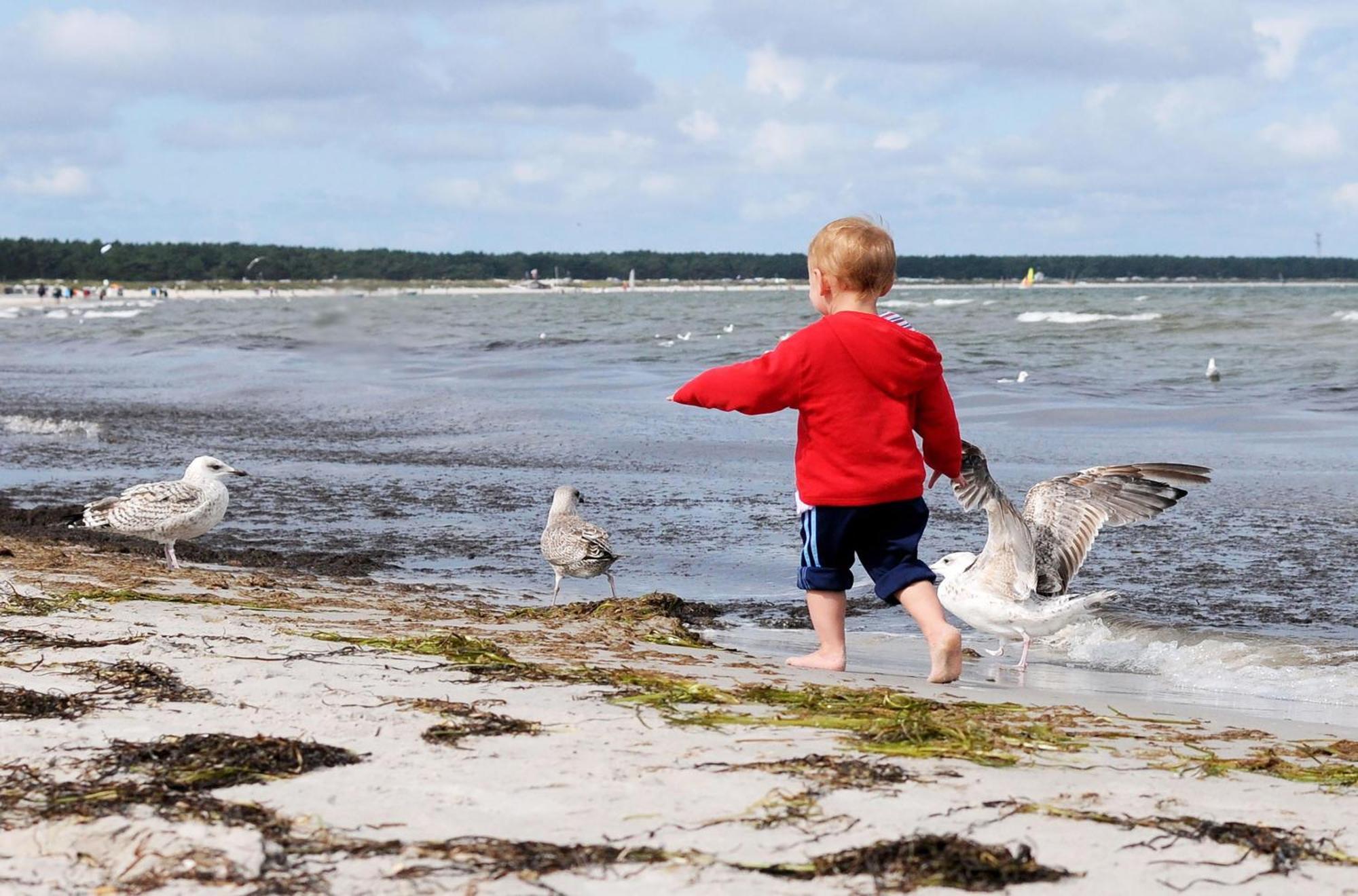 Toni'S Room An Der Seebruecke Zingst Ngoại thất bức ảnh